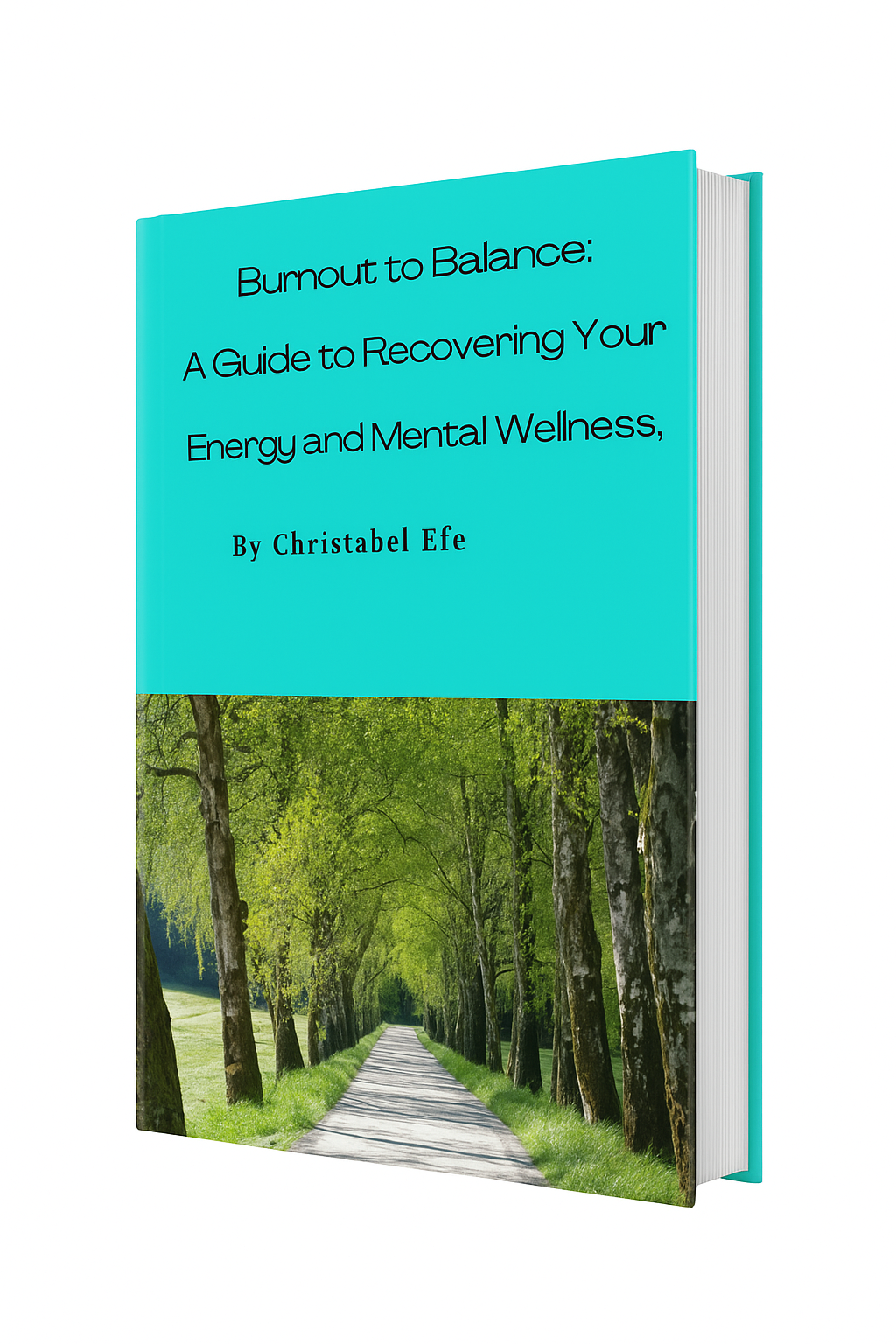 Burnout to Balance E-Guide